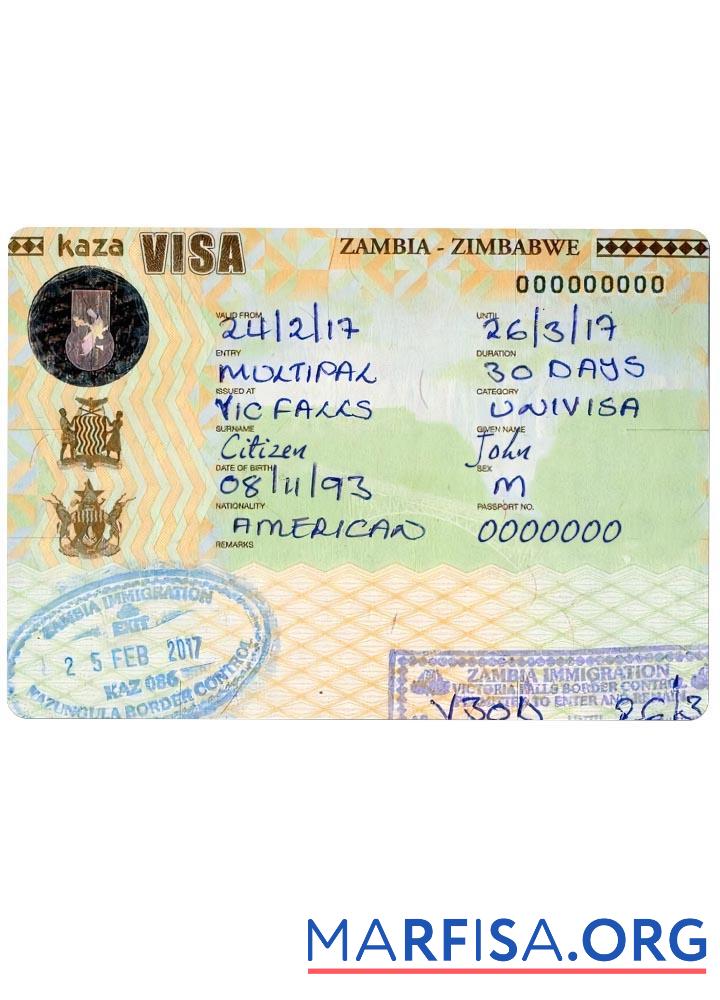 Printable Zambia Zimbabwe travel visa template